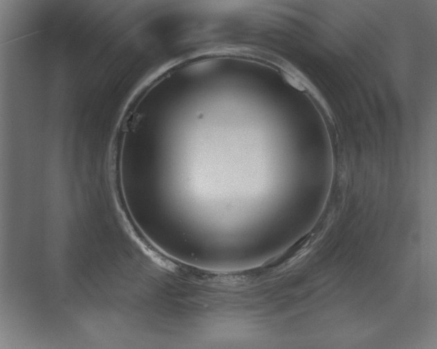 X0000071341053200606231133