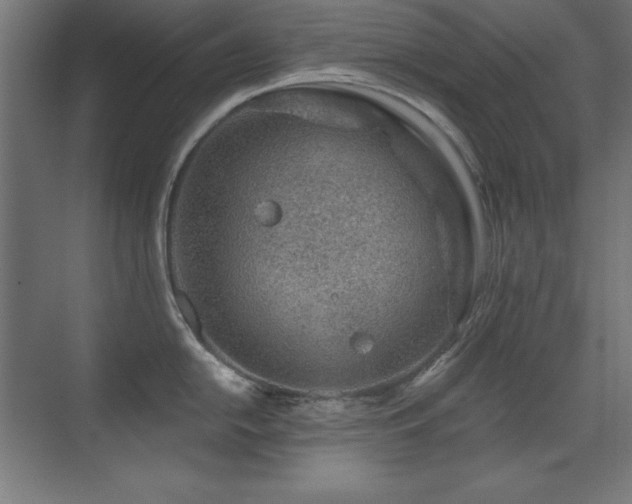 X0000071341054200606231133