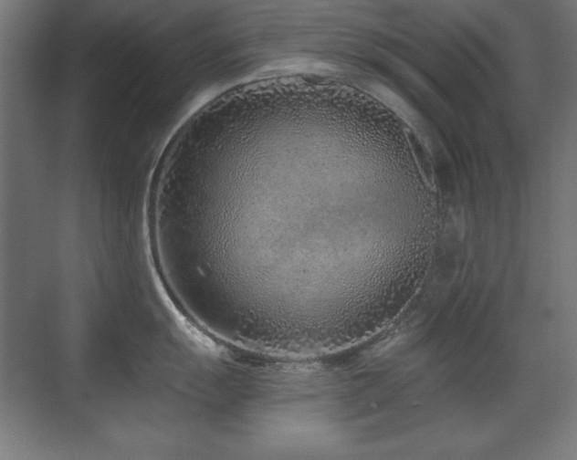 X0000071341055200606231133