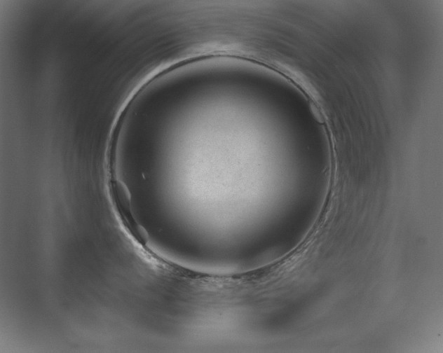 X0000071341056200606231133