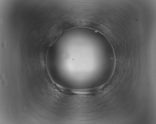 X0000071341058200606231132