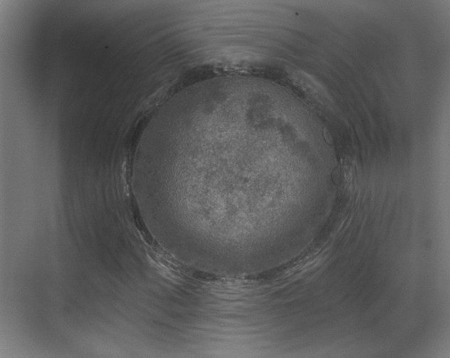 X0000071341060200606231132