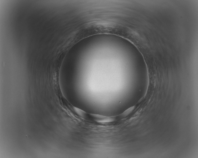X0000071341061200606231132