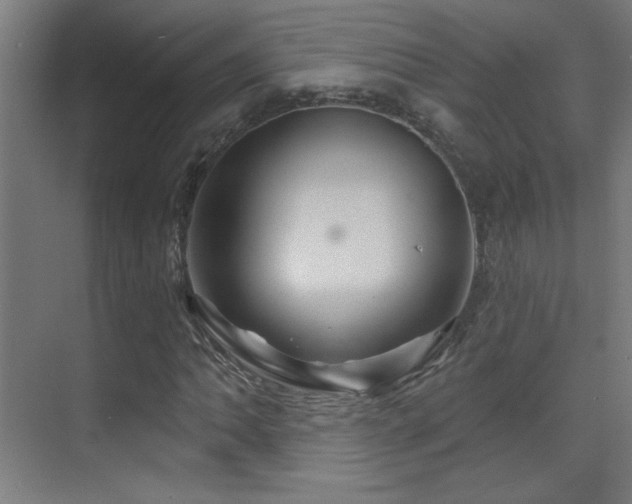 X0000071341062200606231132