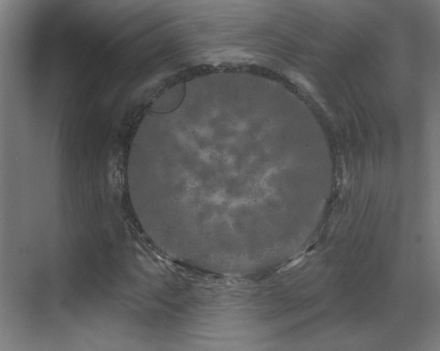 X0000071341063200606231132