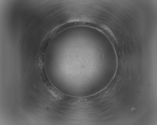 X0000071341064200606231132