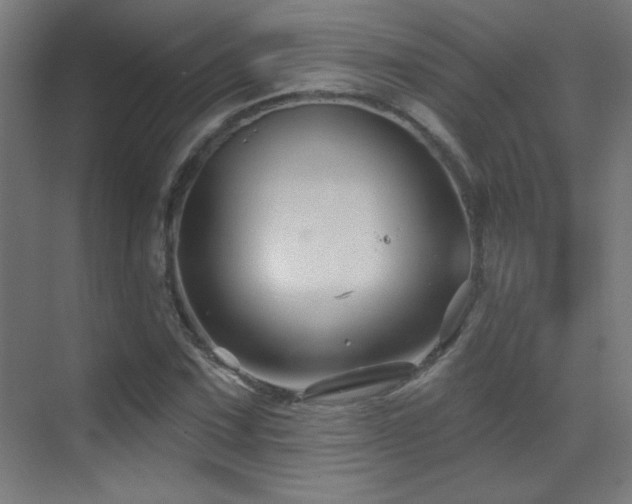 X0000071341067200606231132