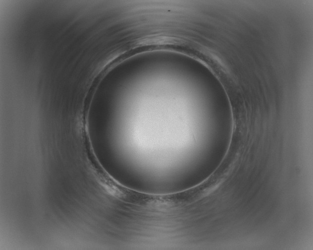 X0000071341073200606231132