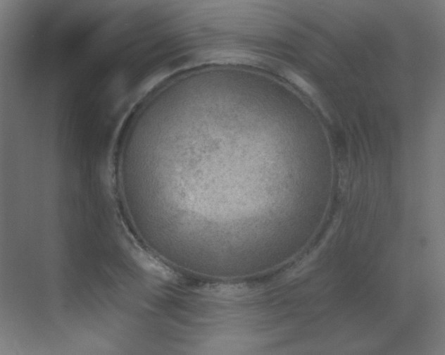 X0000071341074200606231132