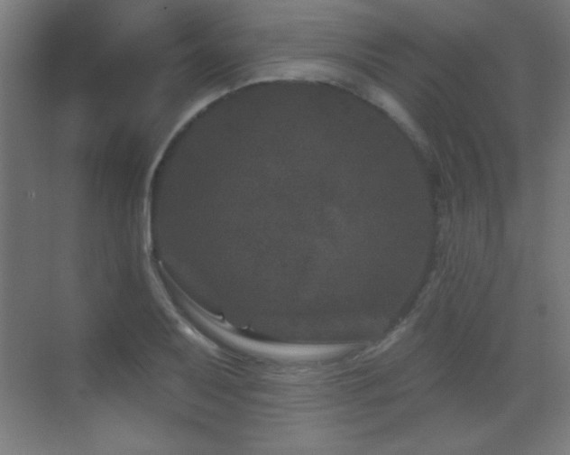 X0000071341079200606231132