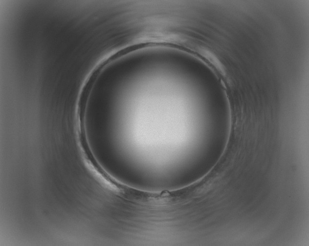 X0000071341080200606231132