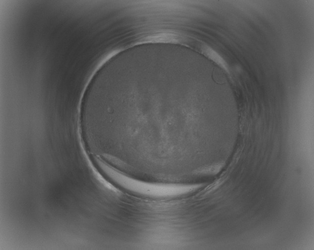 X0000071341087200606231132