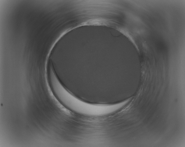 X0000071341091200606231132