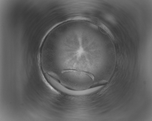 X0000071341092200606231132