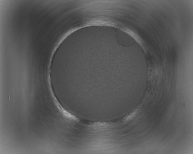 X0000071341094200606231132