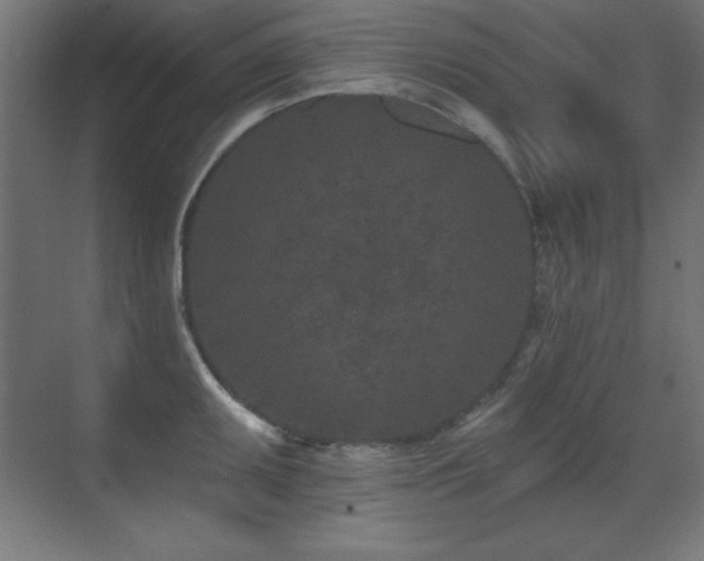 X0000071341095200606231132