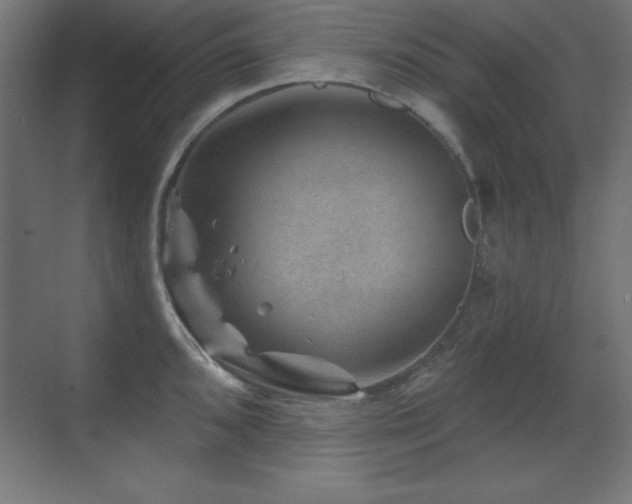 X0000071341096200606231132