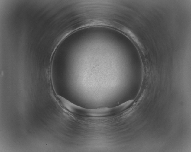 X0000071341097200606231132