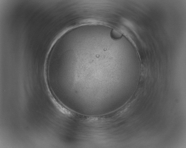 X0000071341098200606231132