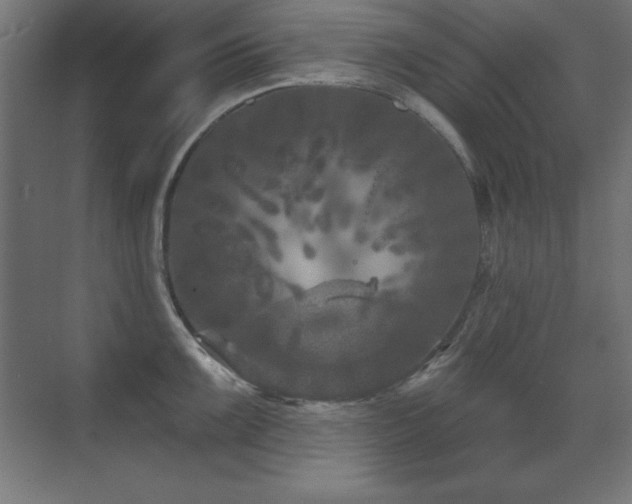 X0000071341099200606231132