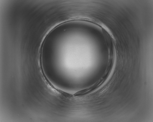 X0000071341102200606231131