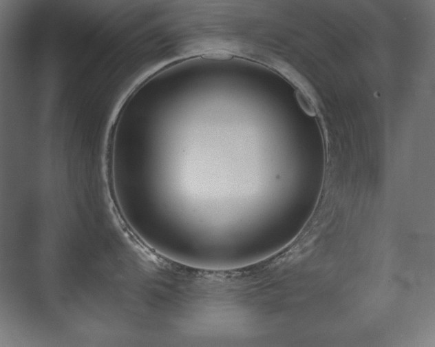 X0000071341104200606231131