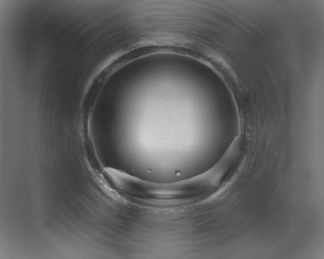X0000071341114200606231131