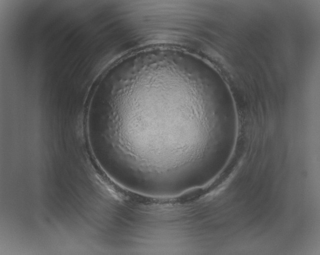 X0000071341121200606231131