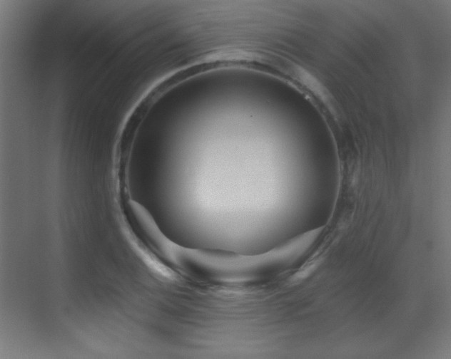 X0000071341124200606231131