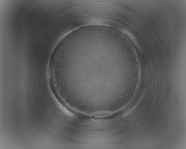 X0000071341125200606231131