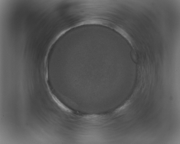 X0000071341127200606231131