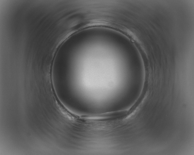 X0000071341137200606231131