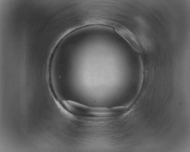 X0000071341143200606231131
