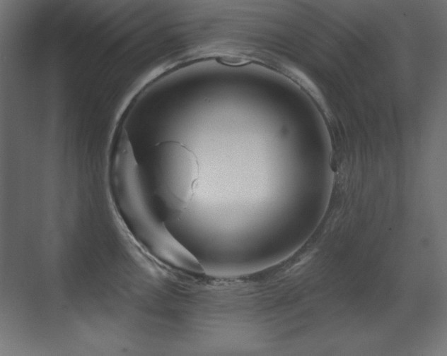 X0000071341146200606231131