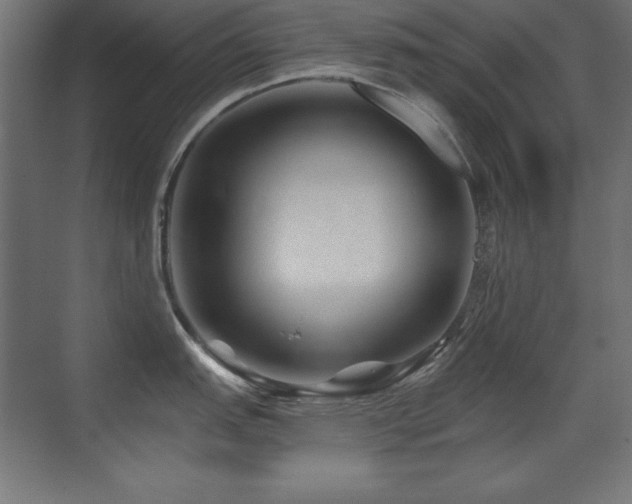 X0000071341151200606231131