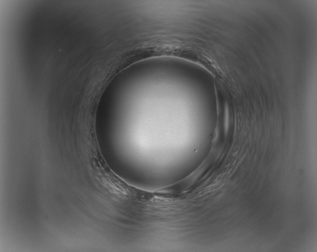 X0000071341153200606231131