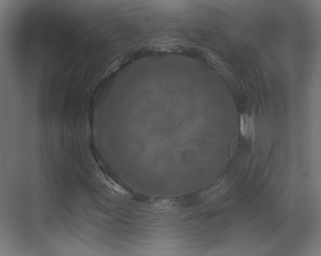 X0000071341155200606231131