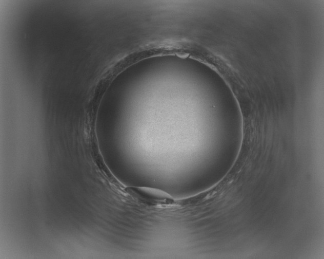 X0000071341158200606231131