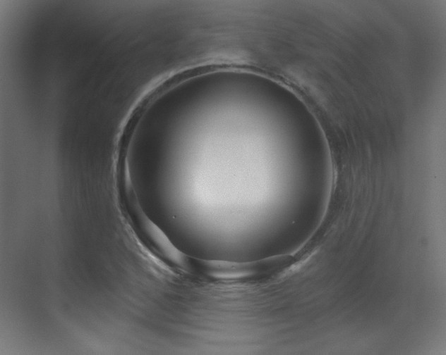 X0000071341168200606231130
