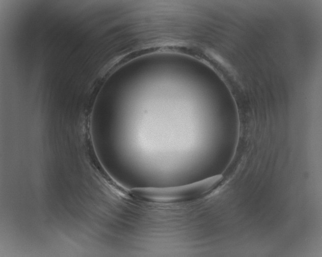 X0000071341169200606231130
