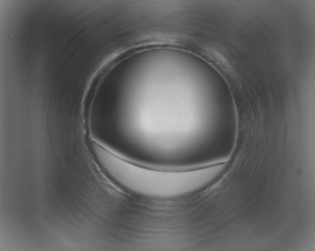X0000071341172200606231130