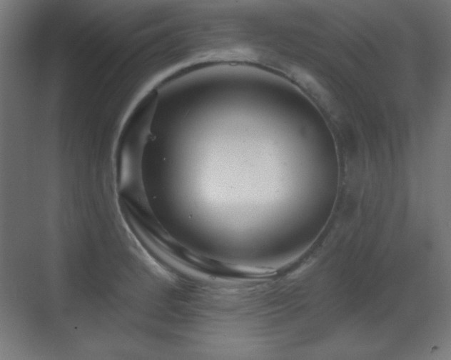 X0000071341184200606231130
