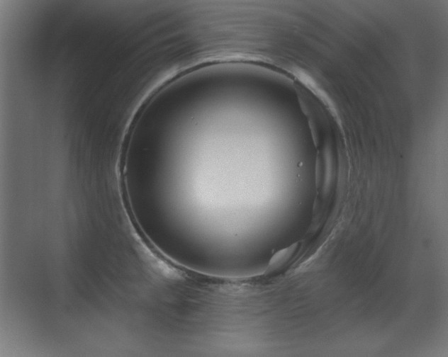 X0000071341189200606231130