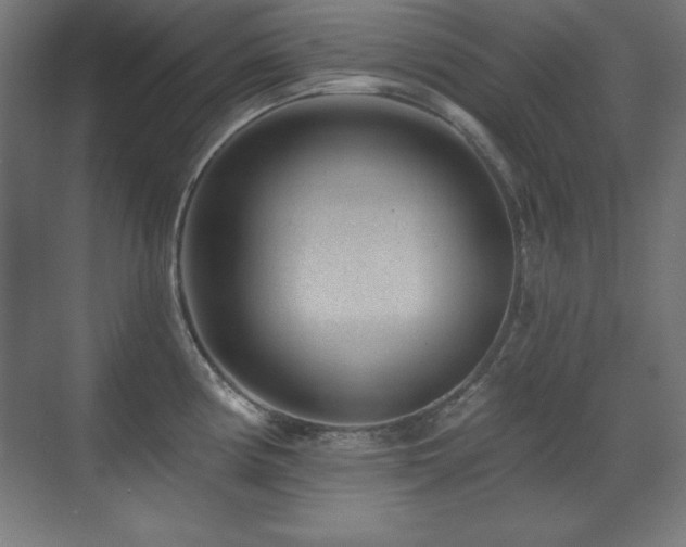 X0000071341194200606231130