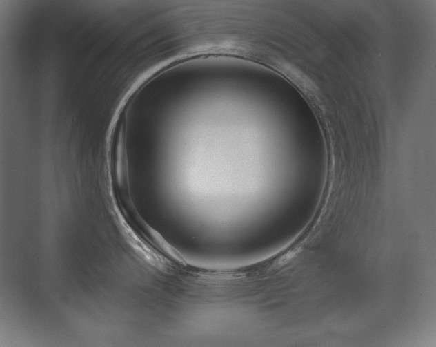 X0000071341200200606231130