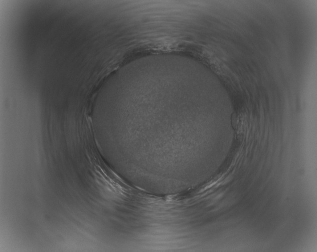 X0000071341202200606231129
