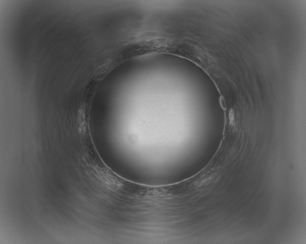 X0000071341203200606231129