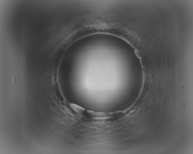X0000071341205200606231129
