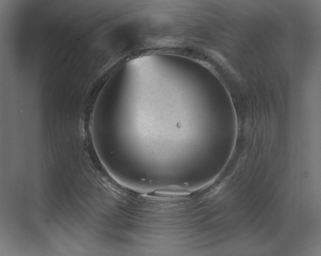 X0000071341209200606231129
