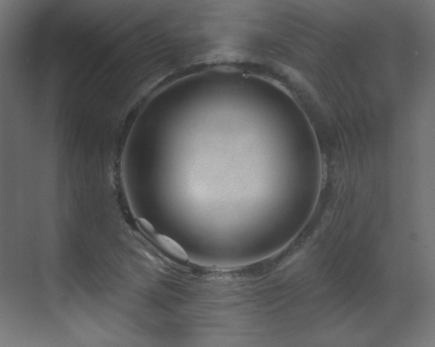 X0000071341217200606231129
